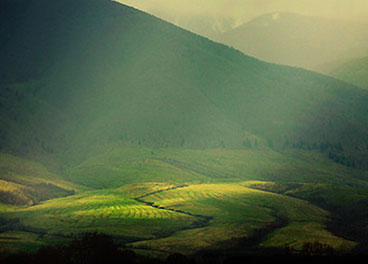 无需付费激活的电话测压网页